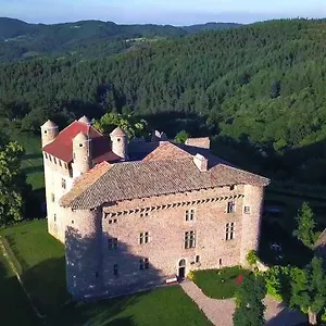 *** Bed and breakfast Chateau De Maisonseule Francia